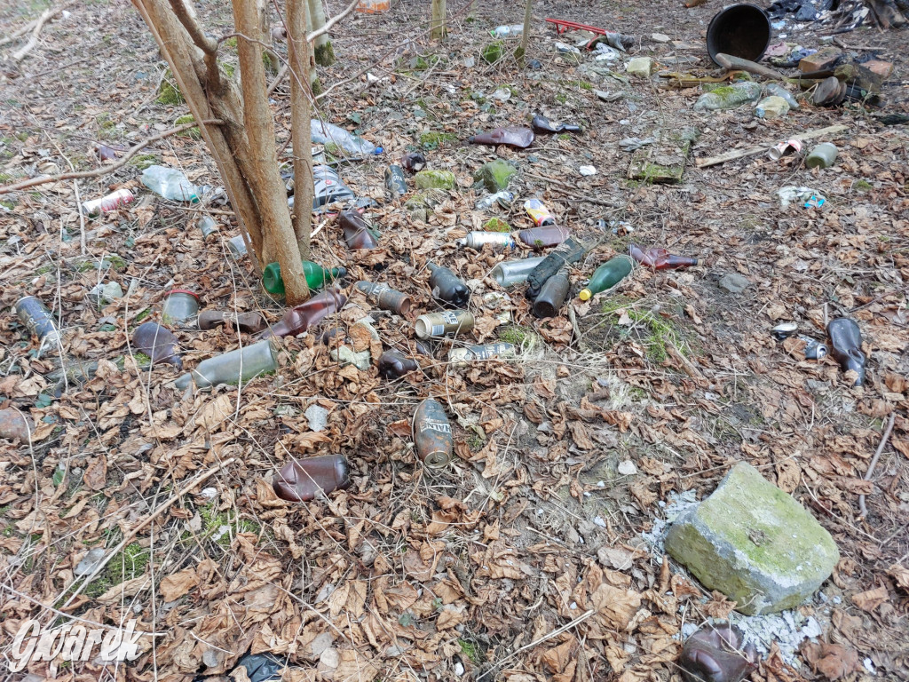 Repty Śląskie. Nie tylko krzyż jest w opłakanym stanie