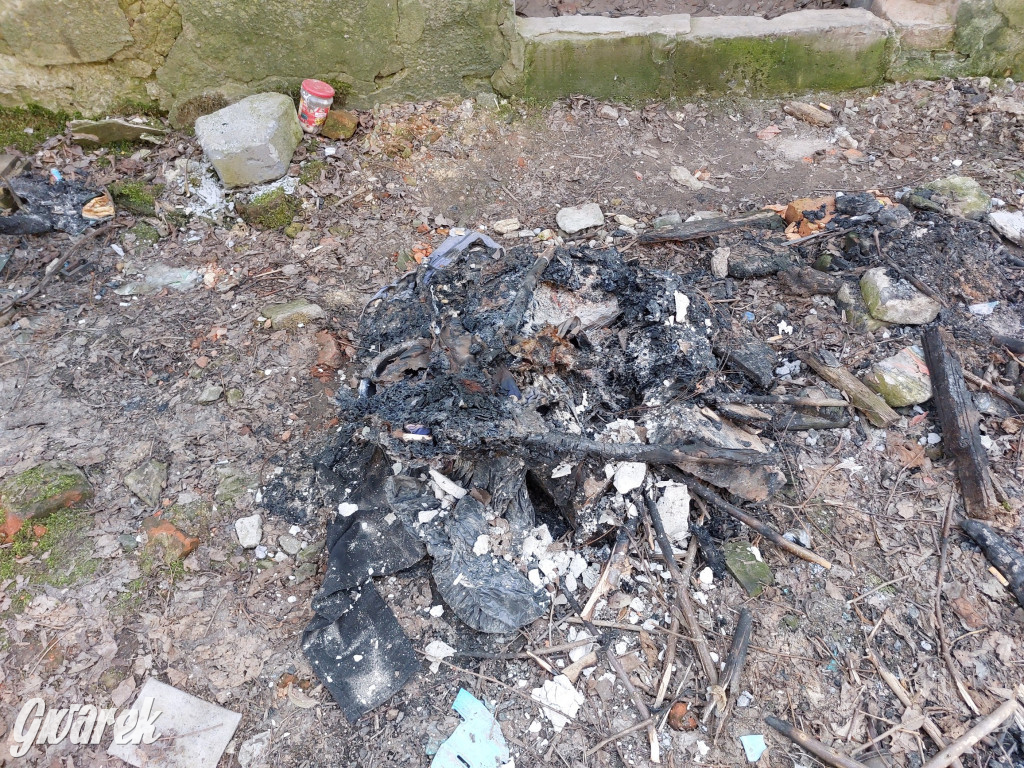 Repty Śląskie. Nie tylko krzyż jest w opłakanym stanie