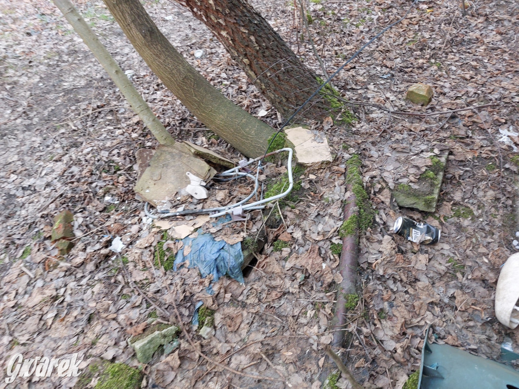 Repty Śląskie. Nie tylko krzyż jest w opłakanym stanie