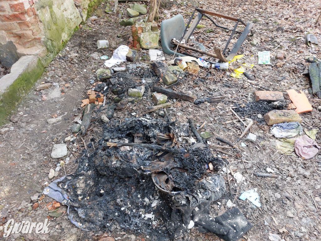 Repty Śląskie. Nie tylko krzyż jest w opłakanym stanie