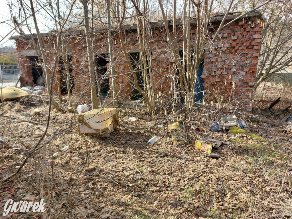 Repty Śląskie. Nie tylko krzyż jest w opłakanym stanie