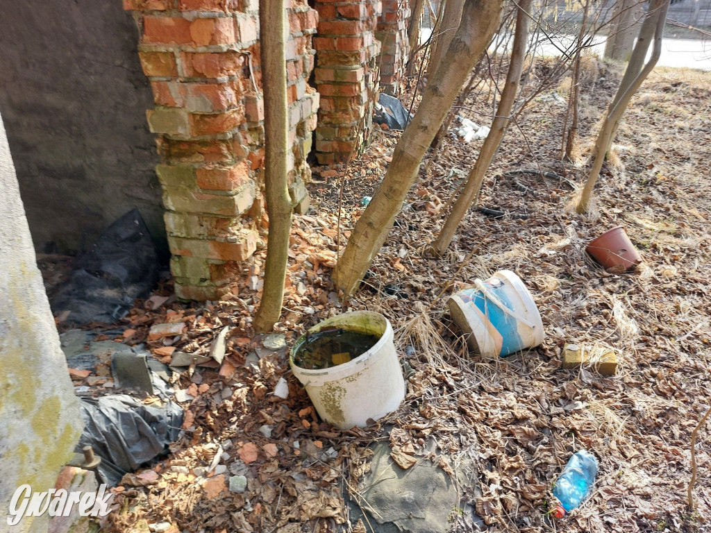 Repty Śląskie. Nie tylko krzyż jest w opłakanym stanie