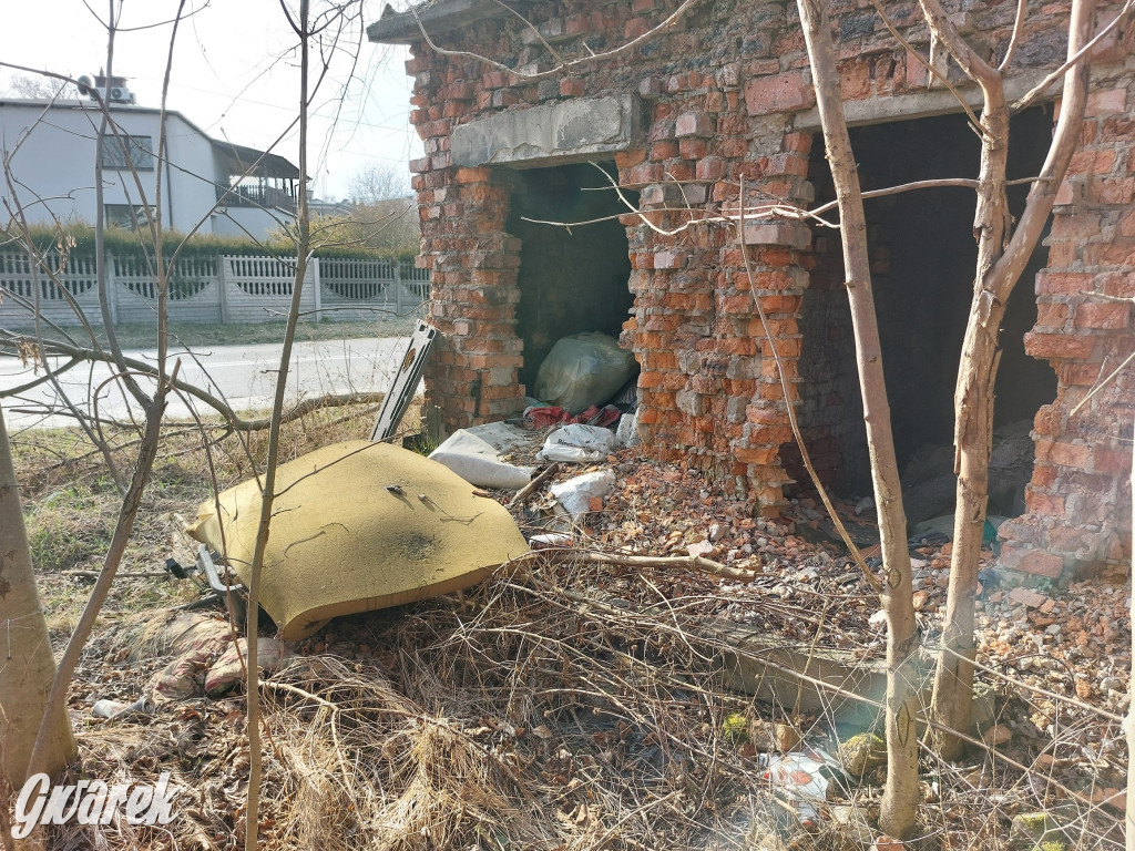 Repty Śląskie. Nie tylko krzyż jest w opłakanym stanie