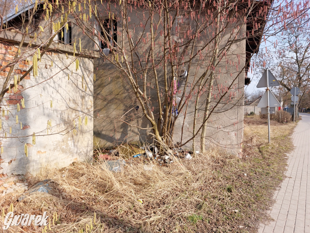 Repty Śląskie. Nie tylko krzyż jest w opłakanym stanie