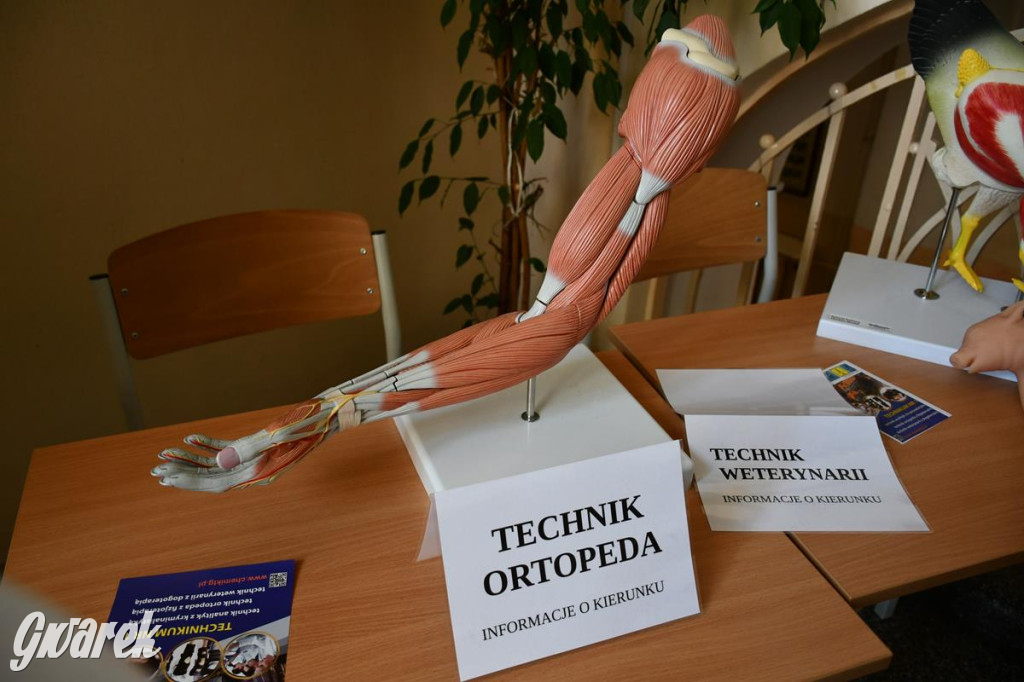 Jaką szkołę wybrać? Ósmoklasiści decydują