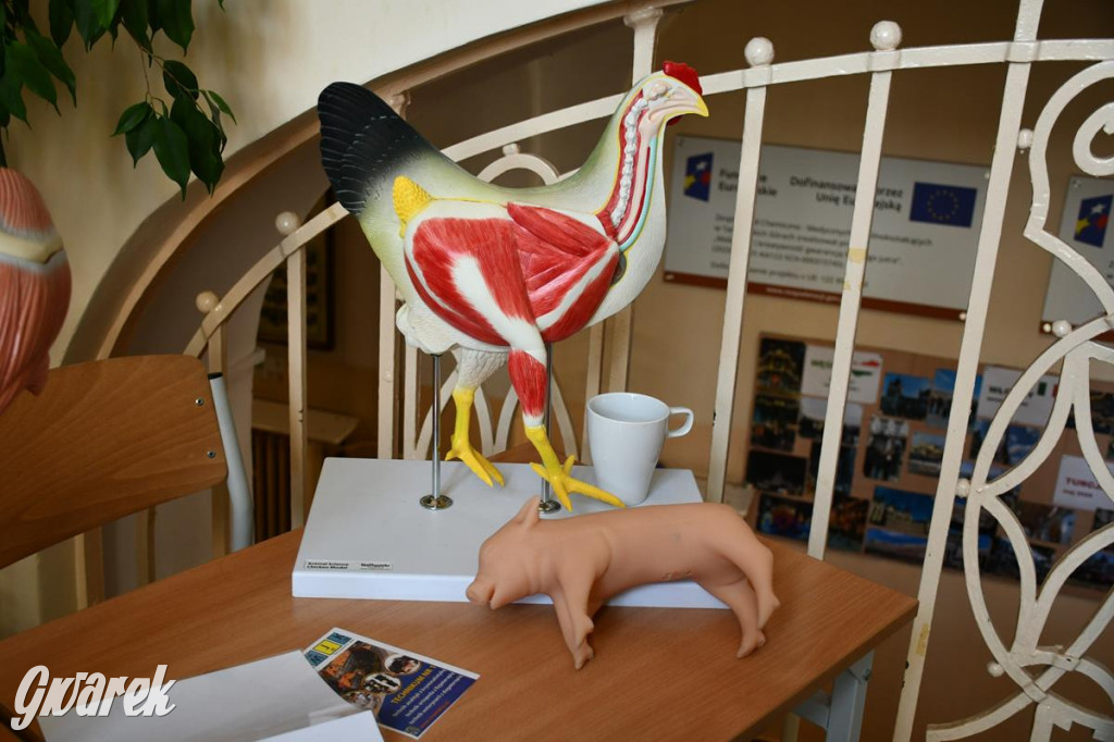 Jaką szkołę wybrać? Ósmoklasiści decydują