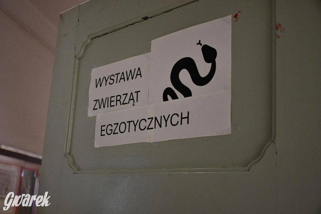 Jaką szkołę wybrać? Ósmoklasiści decydują