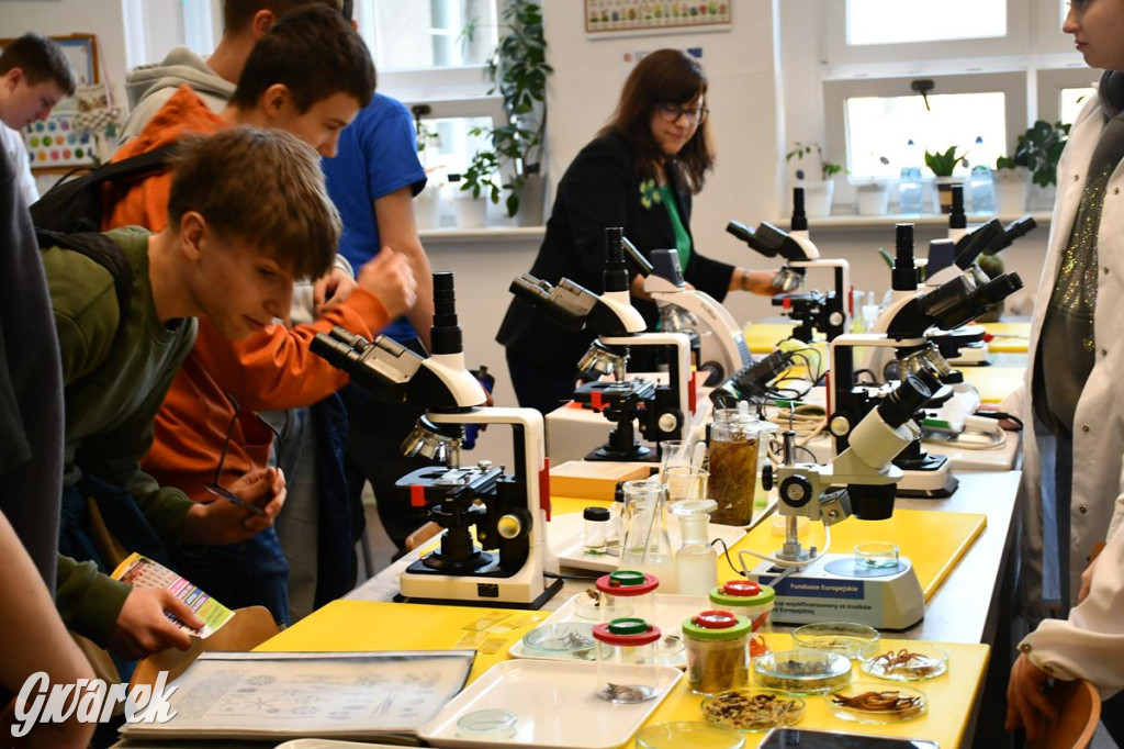 Jaką szkołę wybrać? Ósmoklasiści decydują