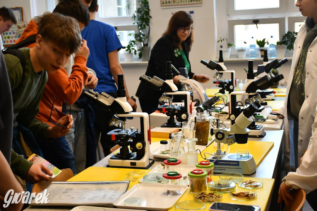 Jaką szkołę wybrać? Ósmoklasiści decydują