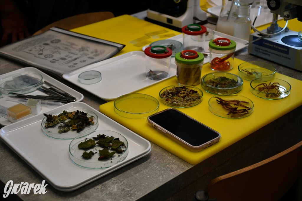 Jaką szkołę wybrać? Ósmoklasiści decydują