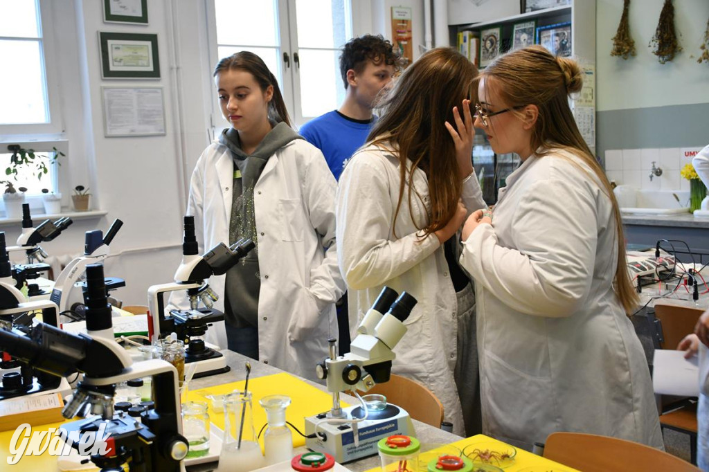 Jaką szkołę wybrać? Ósmoklasiści decydują