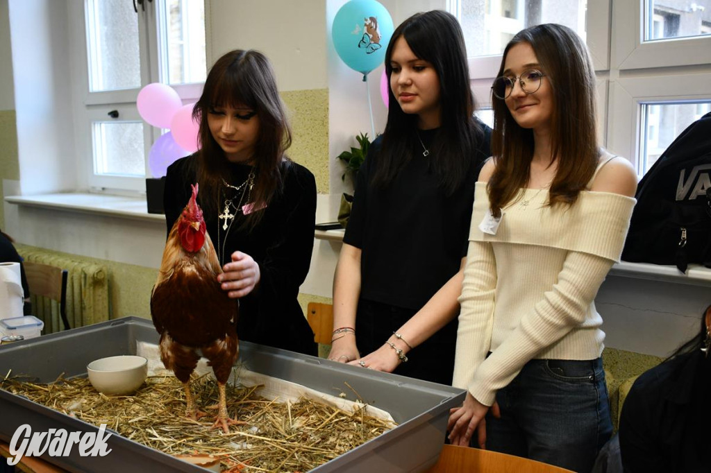 Jaką szkołę wybrać? Ósmoklasiści decydują