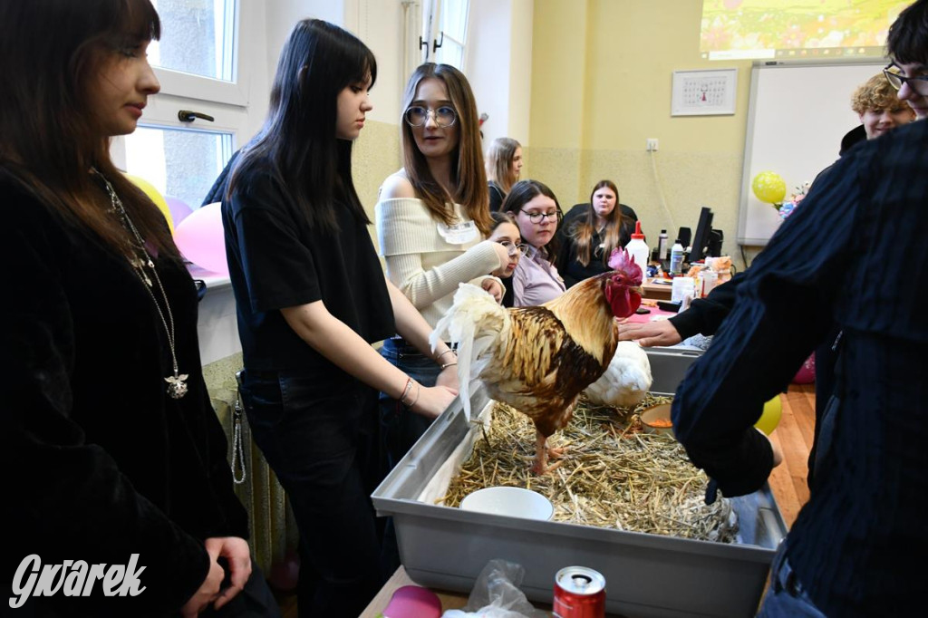 Jaką szkołę wybrać? Ósmoklasiści decydują