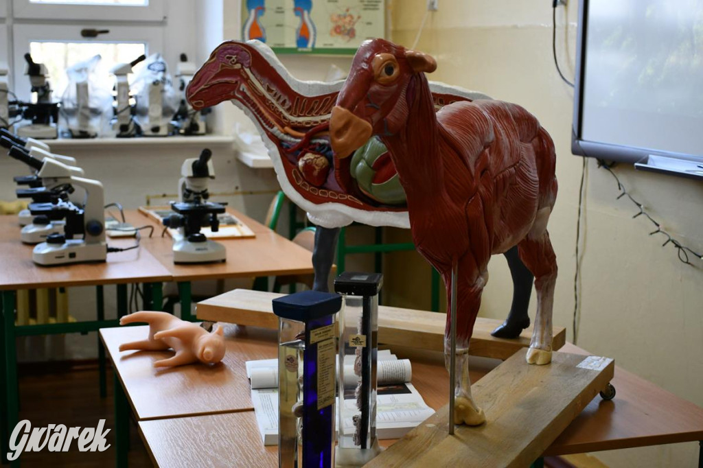 Jaką szkołę wybrać? Ósmoklasiści decydują