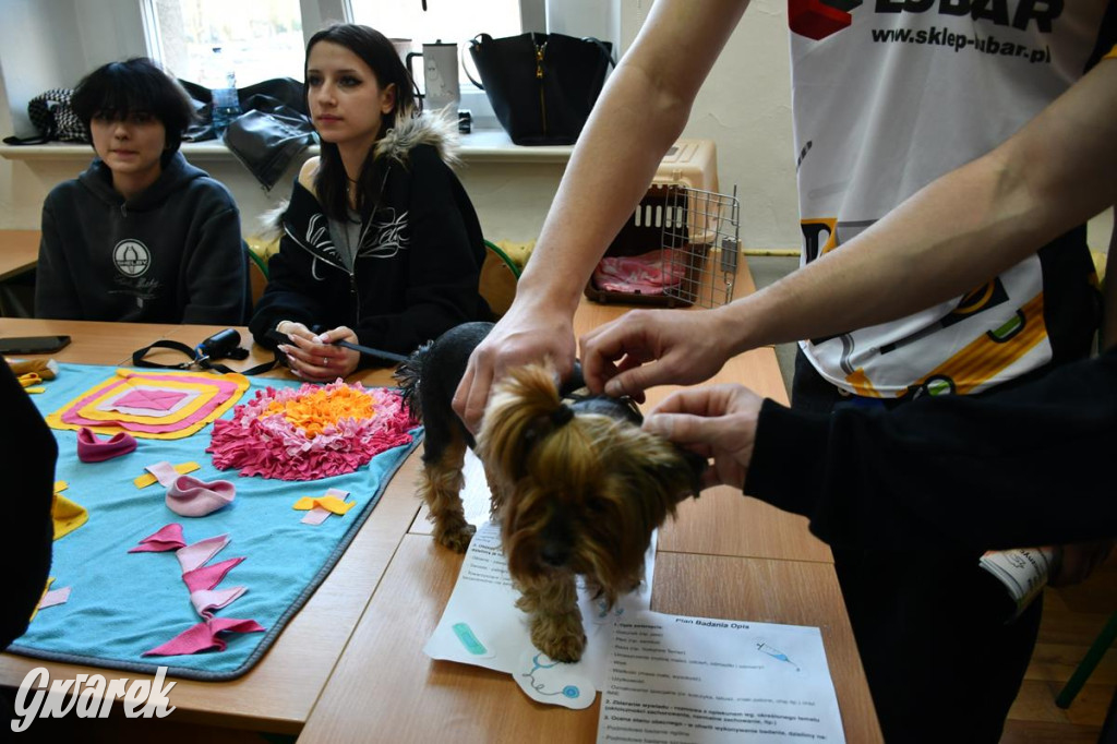 Jaką szkołę wybrać? Ósmoklasiści decydują