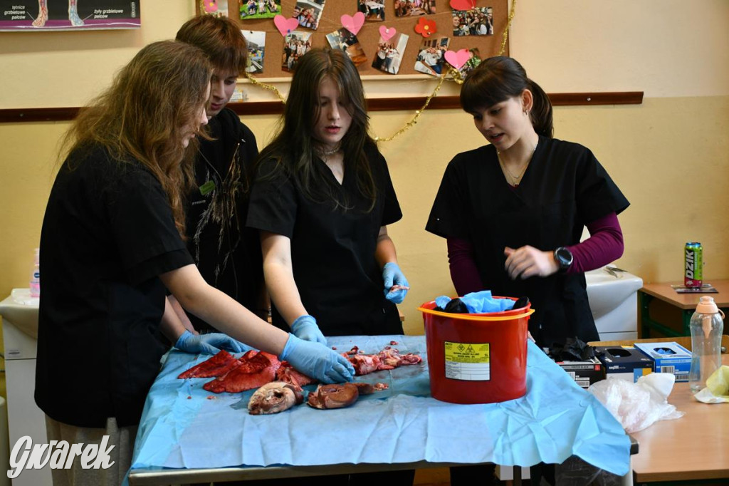 Jaką szkołę wybrać? Ósmoklasiści decydują