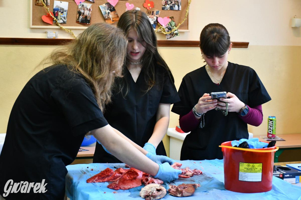 Jaką szkołę wybrać? Ósmoklasiści decydują