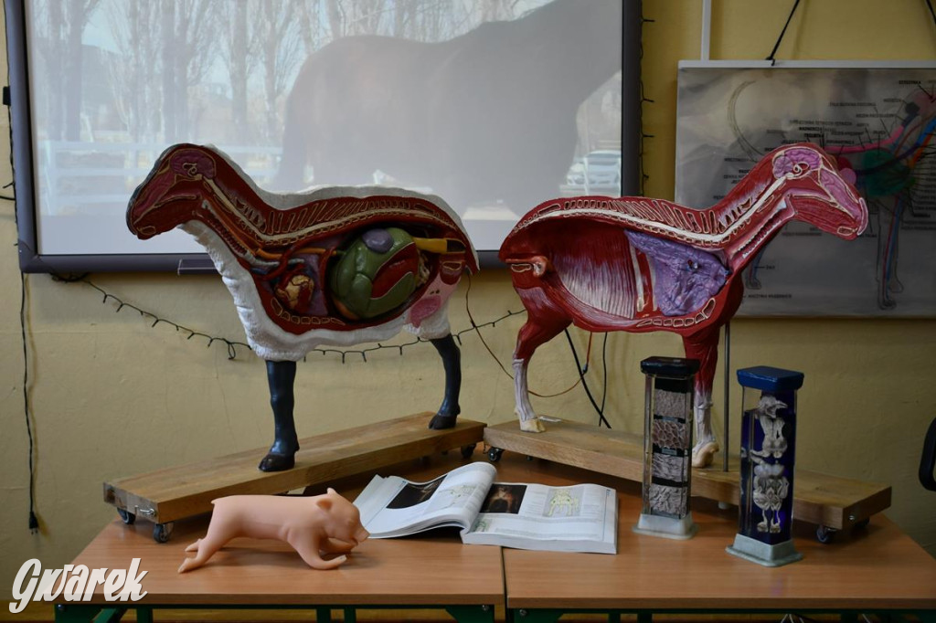 Jaką szkołę wybrać? Ósmoklasiści decydują