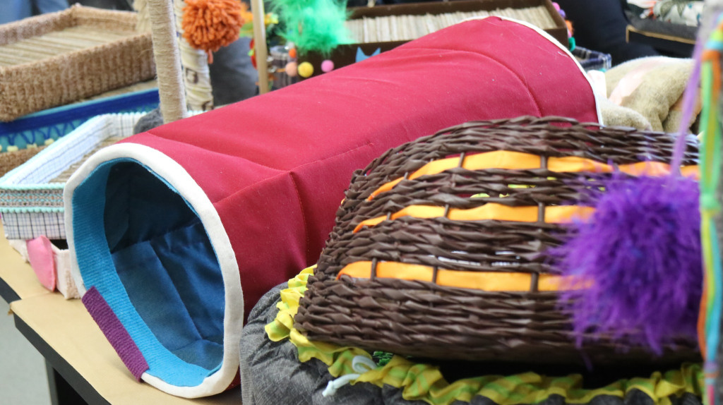 Zwierzęta w szpitalu. Dobry pomysł?