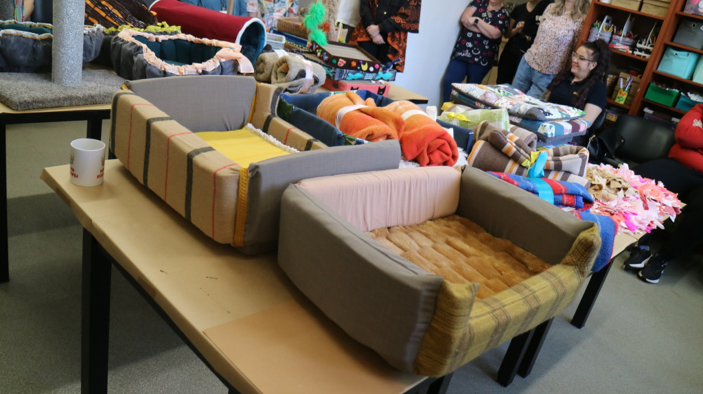 Zwierzęta w szpitalu. Dobry pomysł?