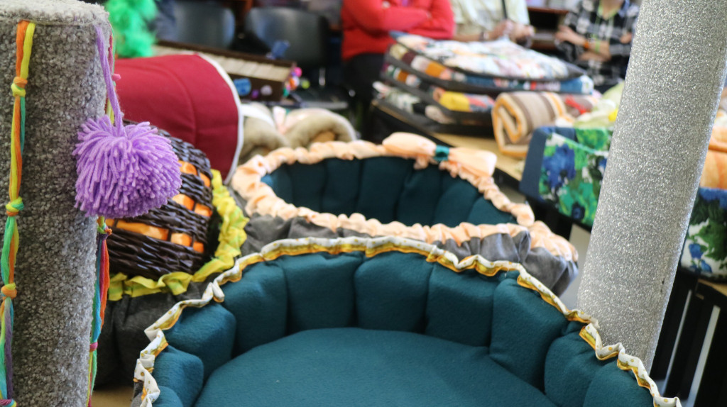 Zwierzęta w szpitalu. Dobry pomysł?