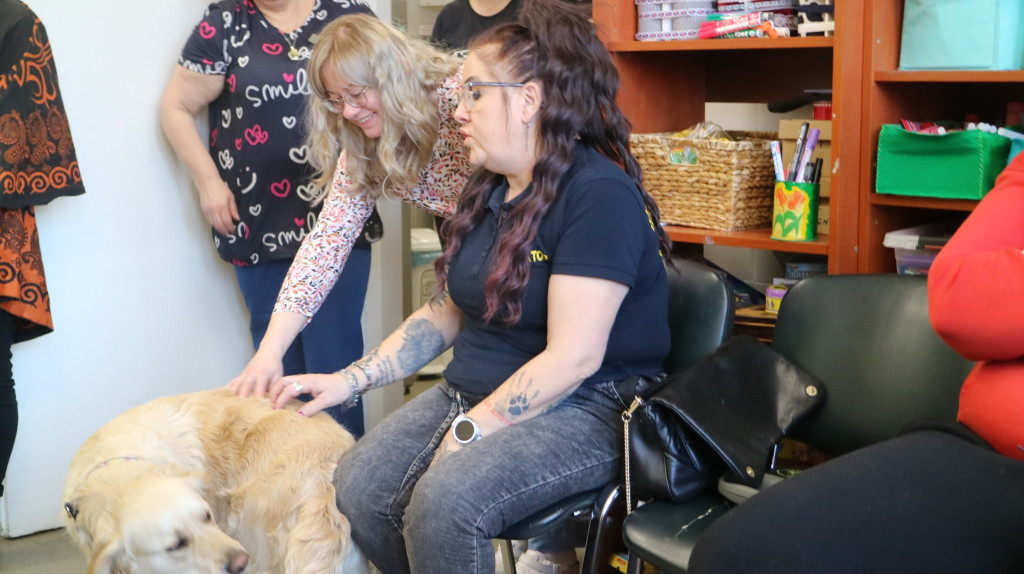 Zwierzęta w szpitalu. Dobry pomysł?