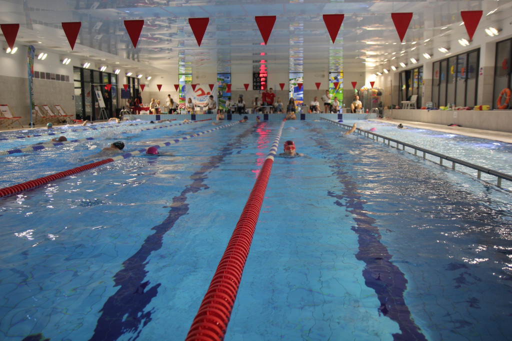 Płynęli przez całą noc! Otyliada za nami