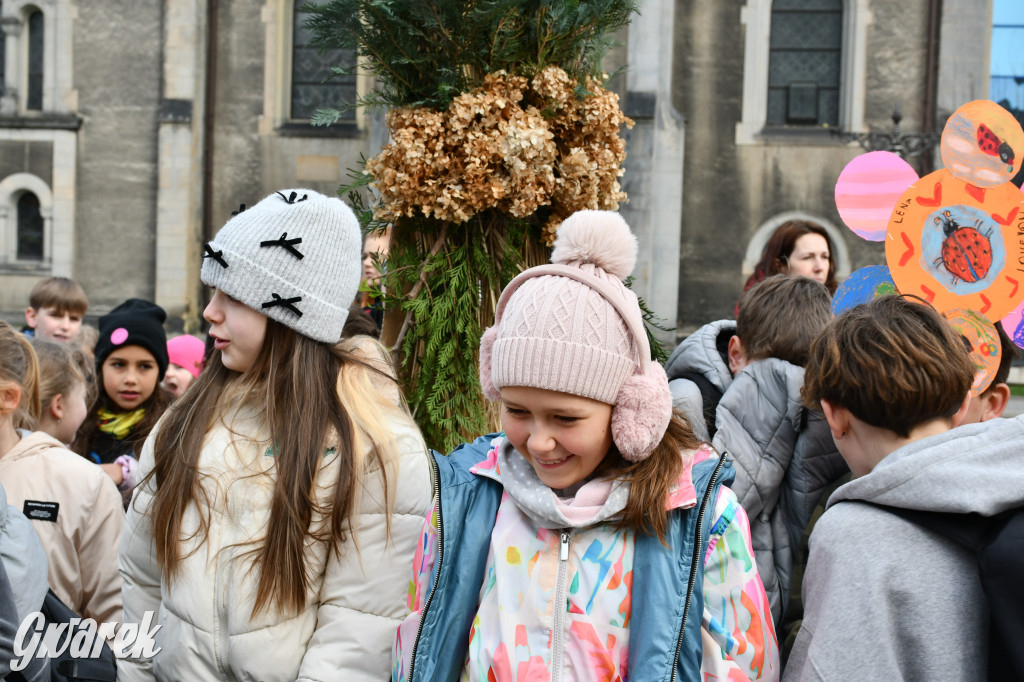Tarnowskie Góry. Powitanie wiosny na rynku