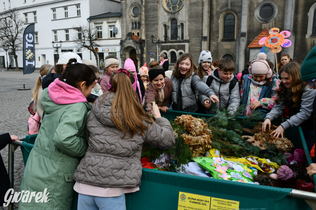 Tarnowskie Góry. Powitanie wiosny na rynku