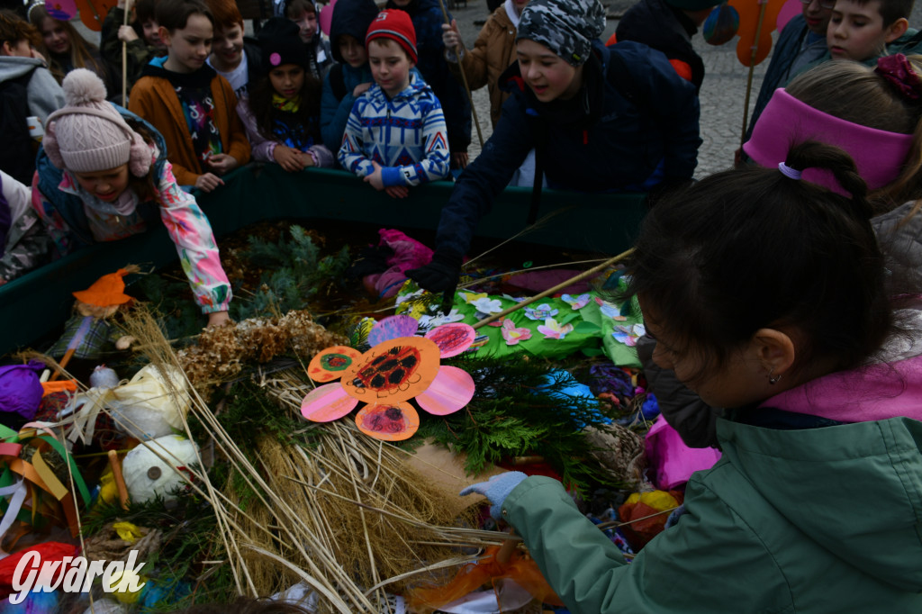 Tarnowskie Góry. Powitanie wiosny na rynku