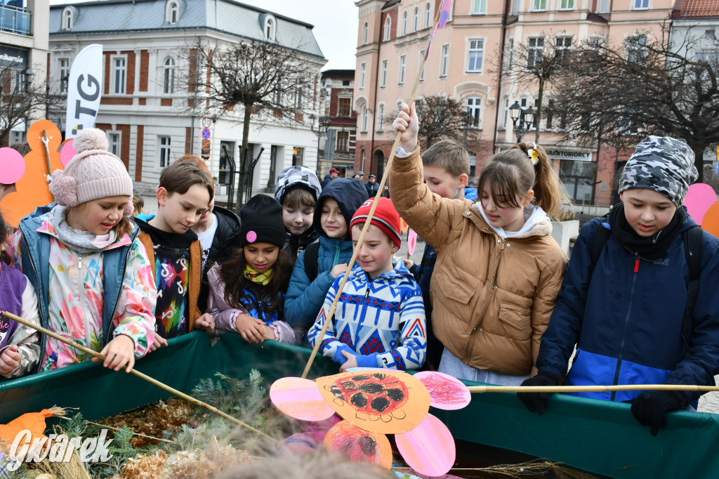 Tarnowskie Góry. Powitanie wiosny na rynku