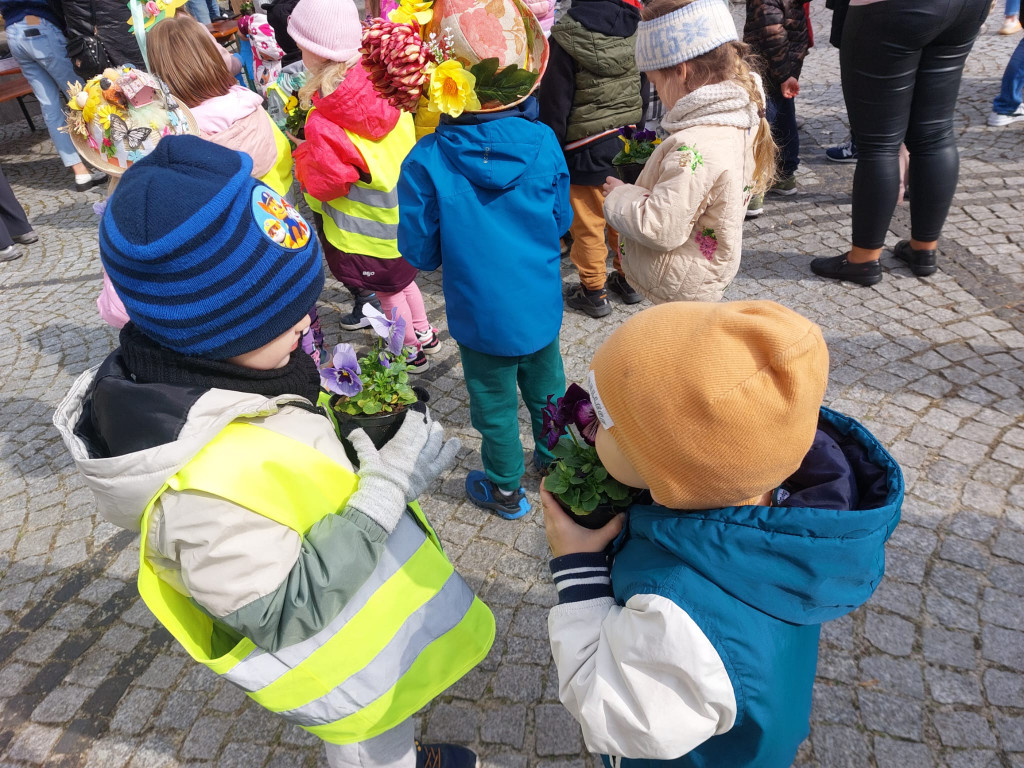  Park w Świerklańcu w kwiatach