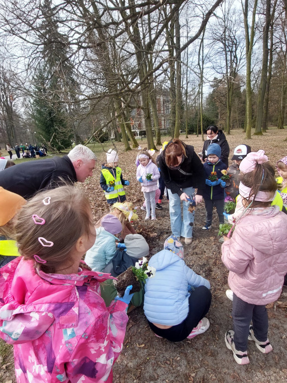  Park w Świerklańcu w kwiatach