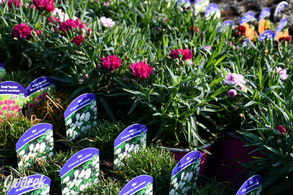 Kupione u Żurka. W Ogrodzie Śląskim w Świerklańcu