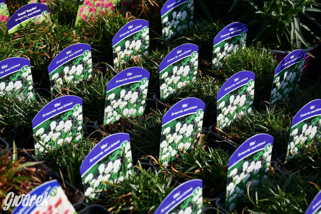 Kupione u Żurka. W Ogrodzie Śląskim w Świerklańcu