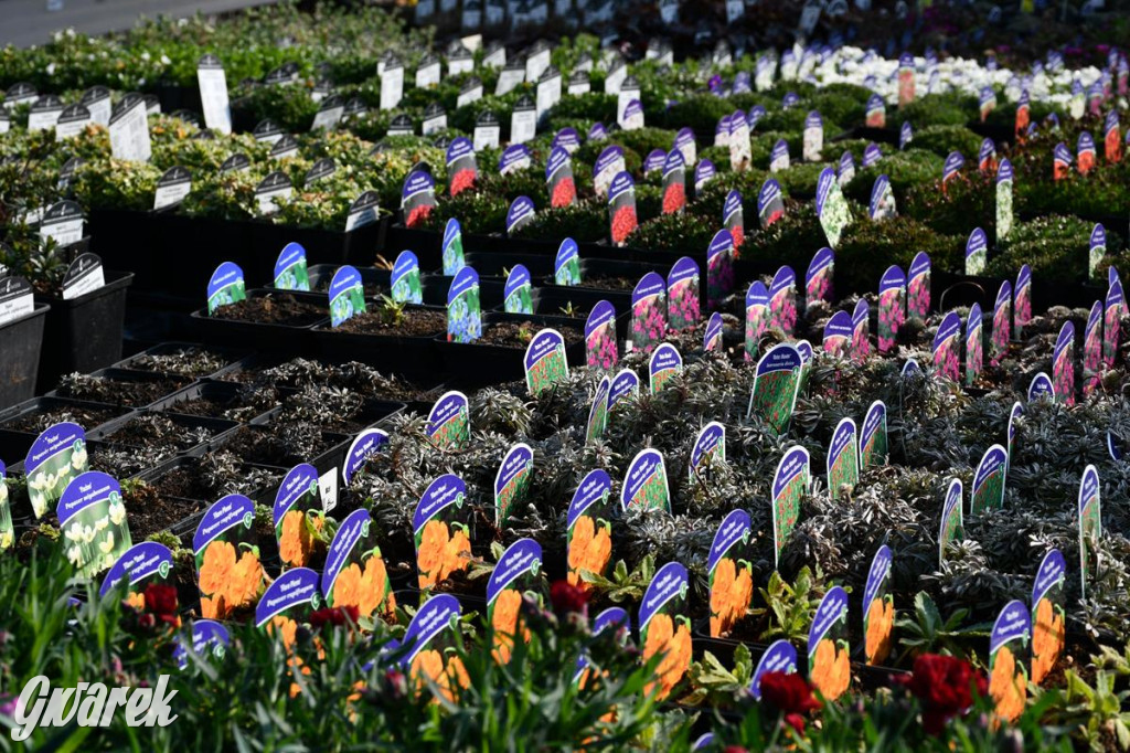 Kupione u Żurka. W Ogrodzie Śląskim w Świerklańcu