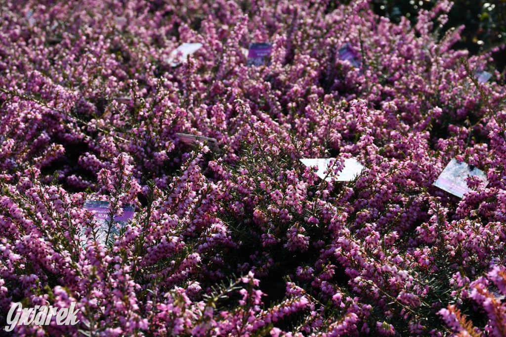 Kupione u Żurka. W Ogrodzie Śląskim w Świerklańcu