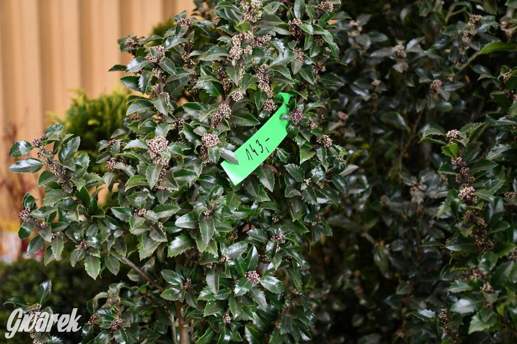 Kupione u Żurka. W Ogrodzie Śląskim w Świerklańcu