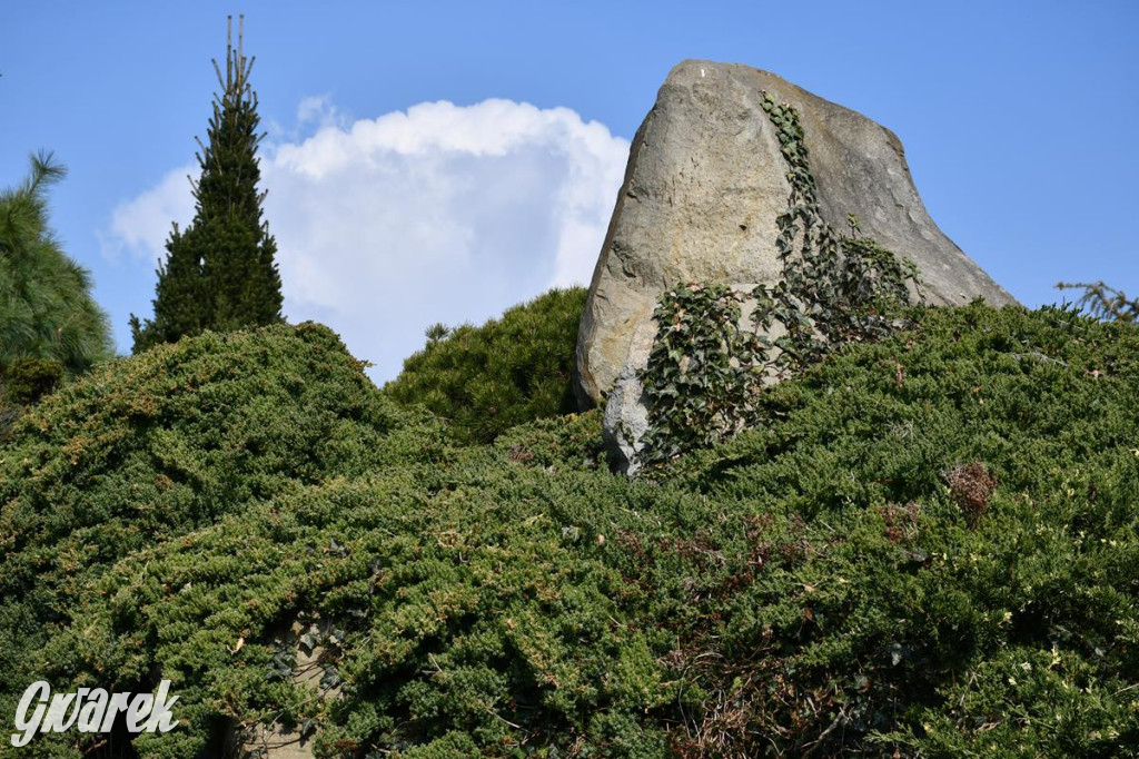 Kupione u Żurka. W Ogrodzie Śląskim w Świerklańcu