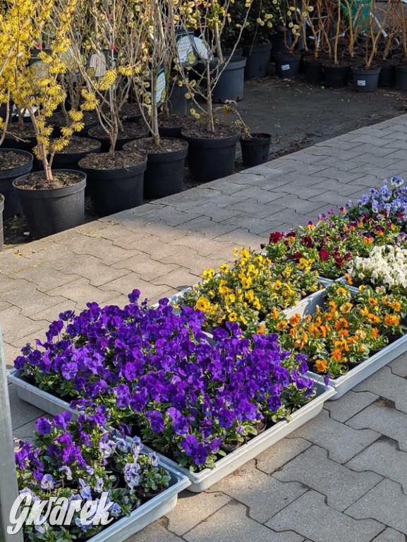 Kupione u Żurka. W Ogrodzie Śląskim w Świerklańcu