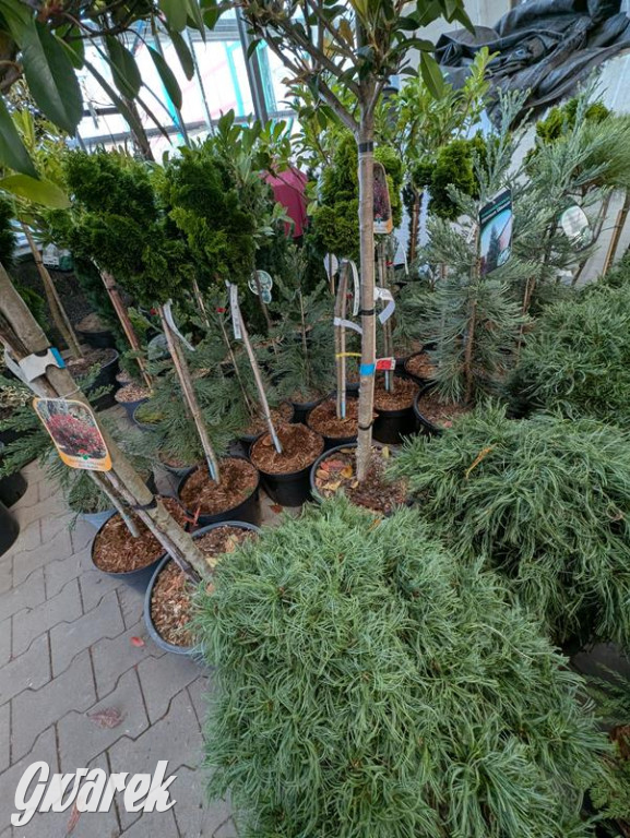 Kupione u Żurka. W Ogrodzie Śląskim w Świerklańcu