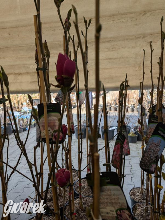 Kupione u Żurka. W Ogrodzie Śląskim w Świerklańcu