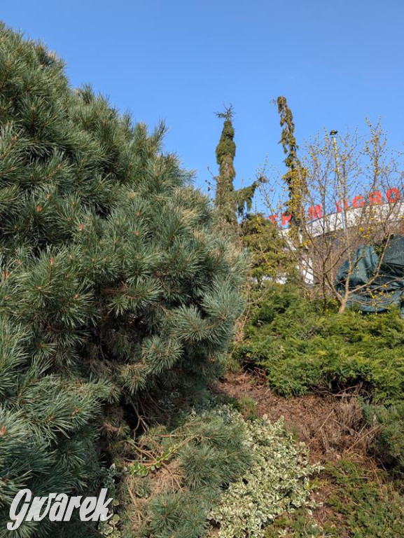 Kupione u Żurka. W Ogrodzie Śląskim w Świerklańcu