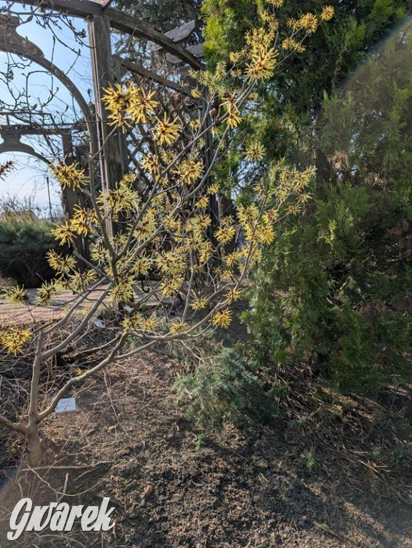 Kupione u Żurka. W Ogrodzie Śląskim w Świerklańcu