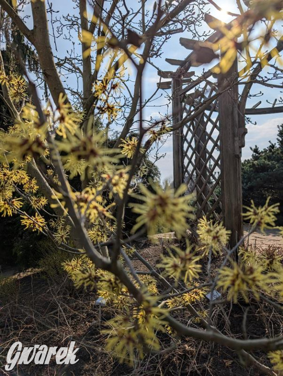 Kupione u Żurka. W Ogrodzie Śląskim w Świerklańcu