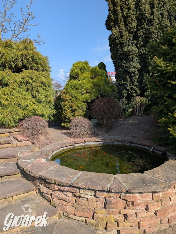 Kupione u Żurka. W Ogrodzie Śląskim w Świerklańcu