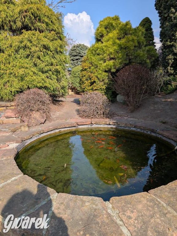 Kupione u Żurka. W Ogrodzie Śląskim w Świerklańcu