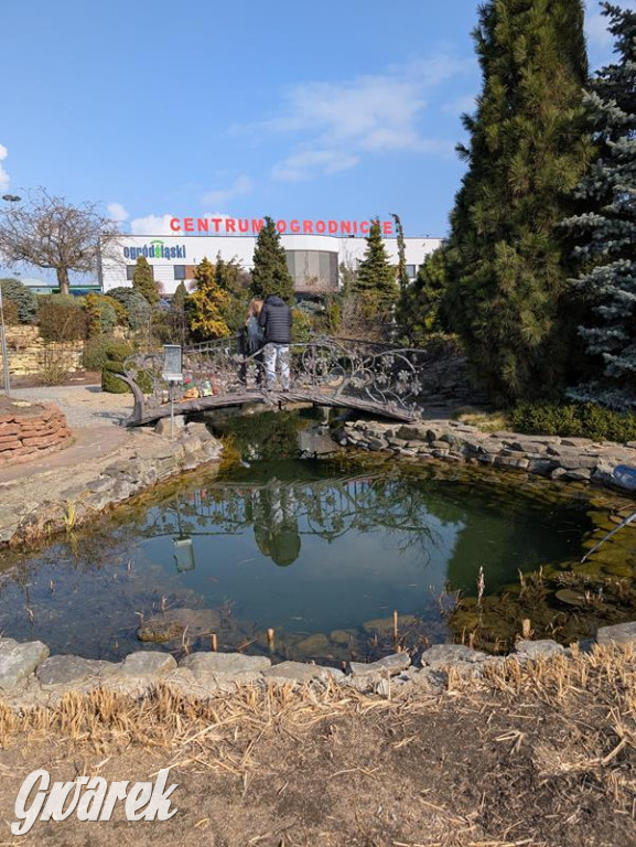 Kupione u Żurka. W Ogrodzie Śląskim w Świerklańcu