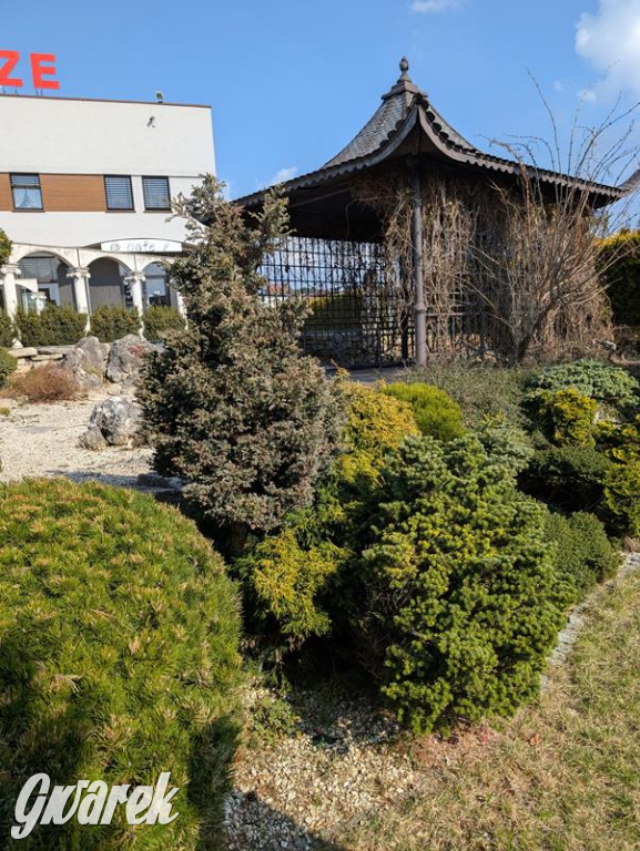 Kupione u Żurka. W Ogrodzie Śląskim w Świerklańcu