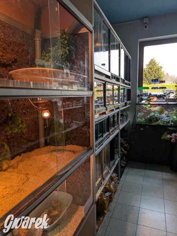 Kupione u Żurka. W Ogrodzie Śląskim w Świerklańcu